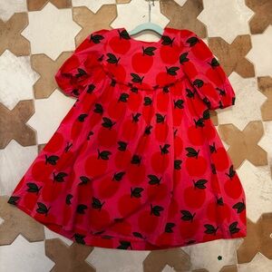 Pink Chicken Apple dress NWOT